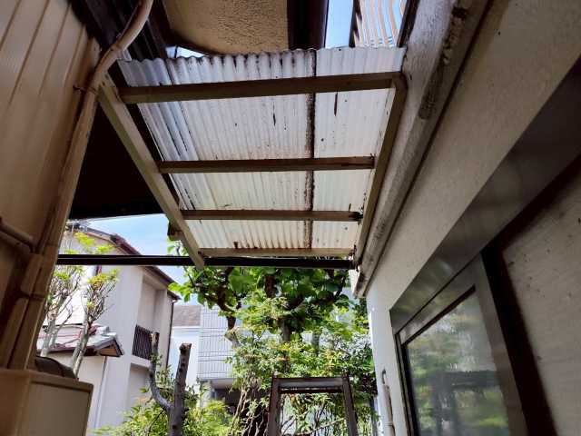下から見た波板全景
